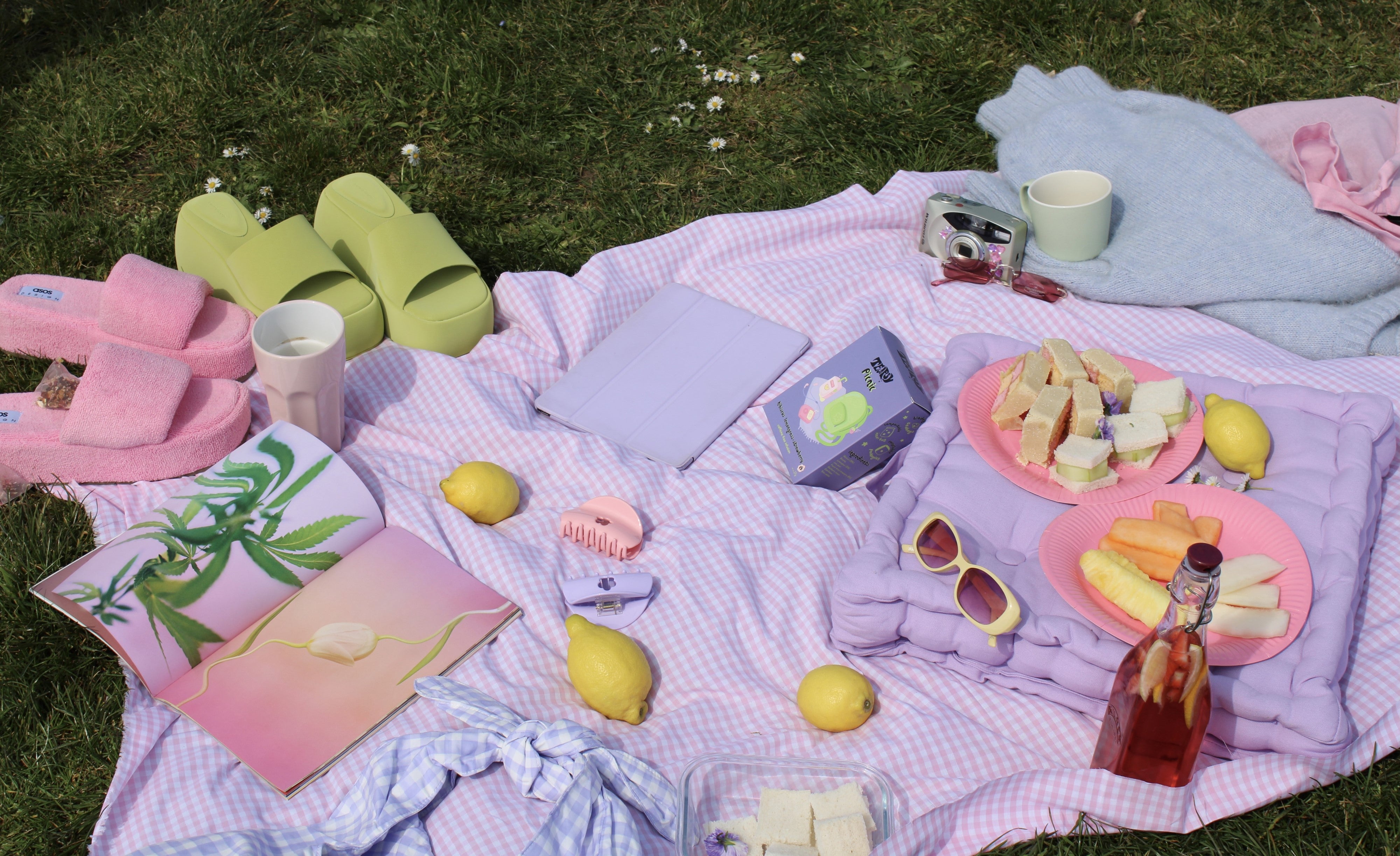 How to Throw The Perfect Tea Picnic Party